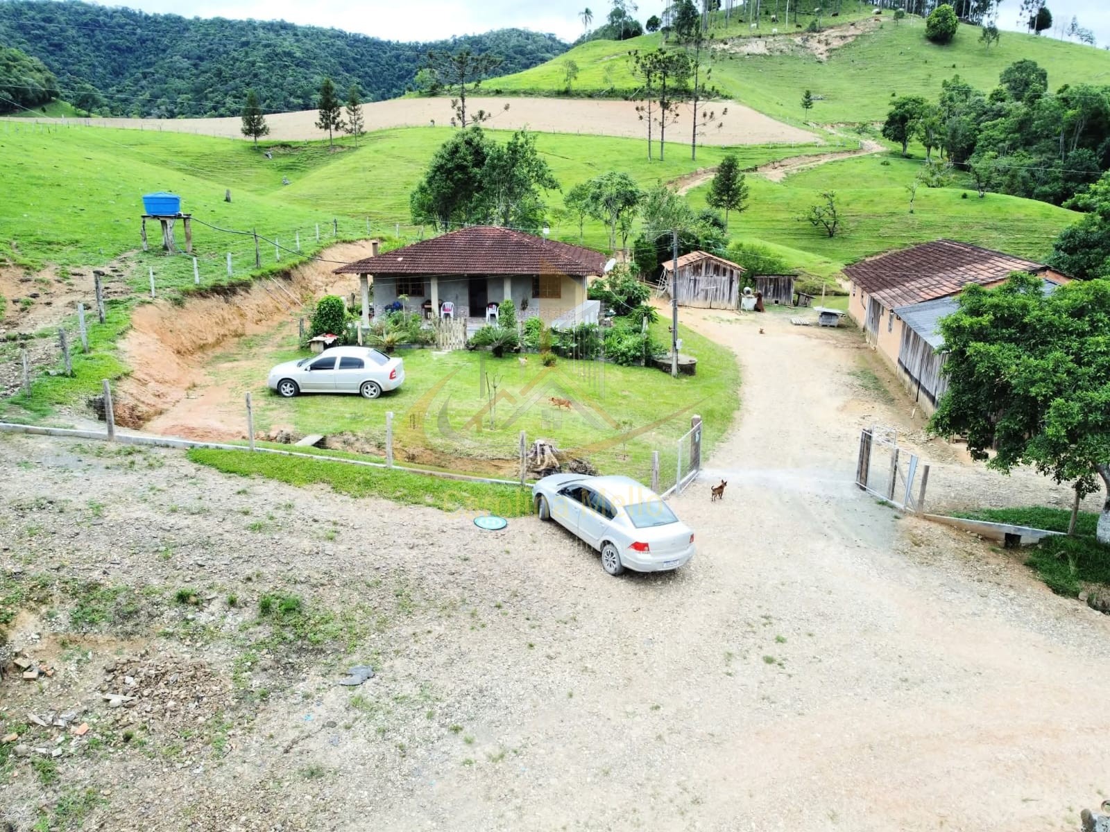 Fazenda para Venda no bairro Rio Azul em Rio do Campo 43,4 hectares