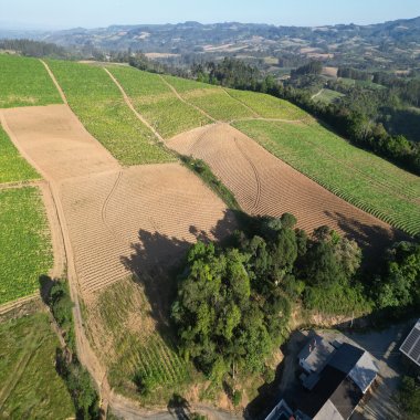 Propriedade Rural Completa para Plantio de FUMO – Serra do Cascalho, Santa Terezinha/SC  