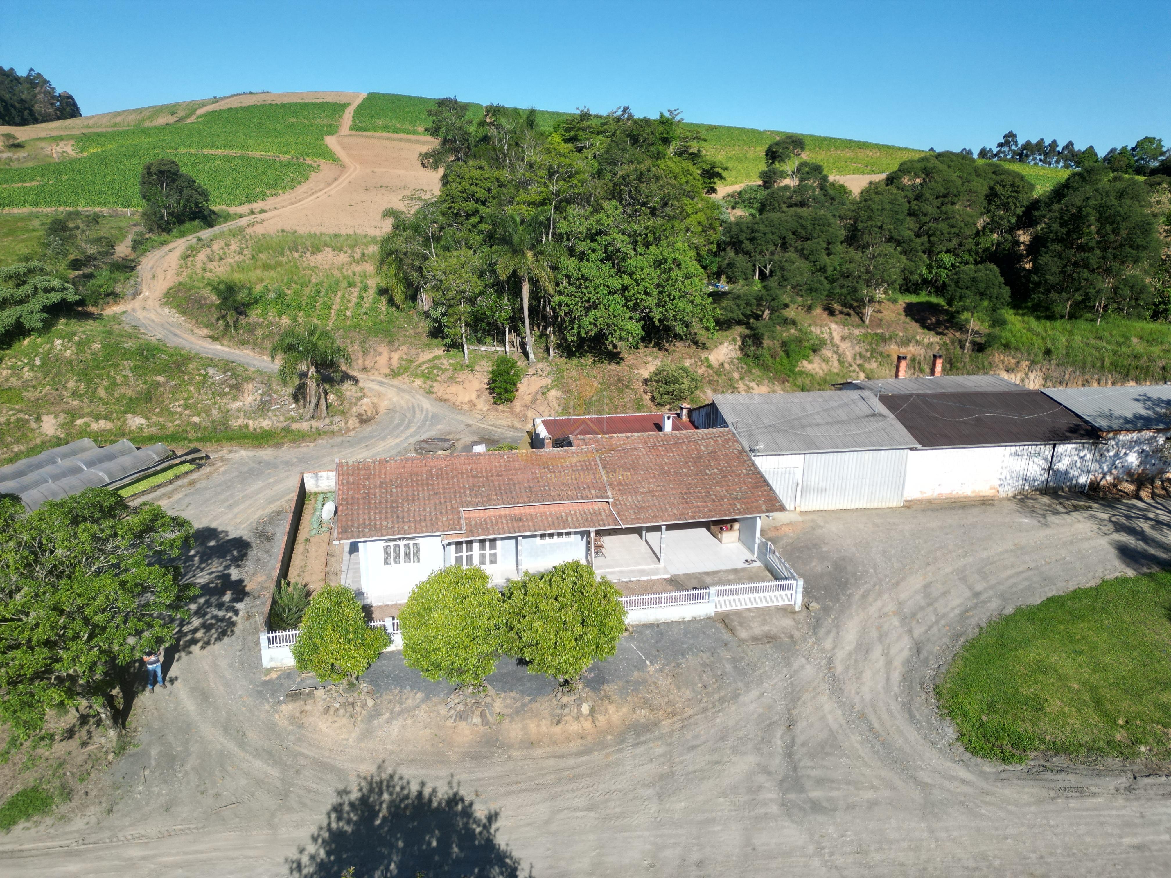 Propriedade Rural Completa para Plantio de FUMO – Serra do Cascalho, Santa Terezinha/SC  