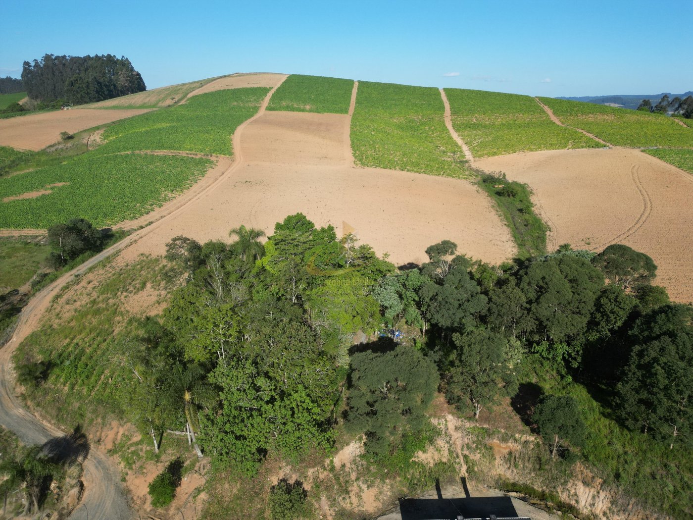 Propriedade Rural Completa para Plantio de FUMO – Serra do Cascalho, Santa Terezinha/SC  