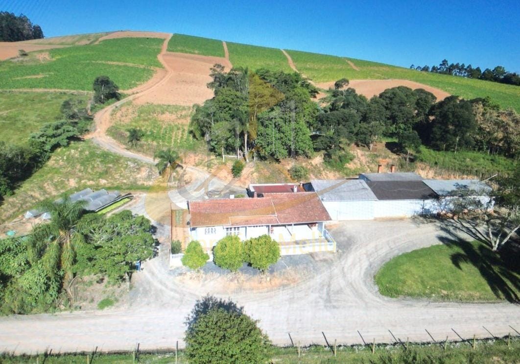 Propriedade Rural Completa para Plantio de FUMO – Serra do Cascalho, Santa Terezinha/SC  